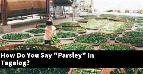 How to say parley in Filipino .